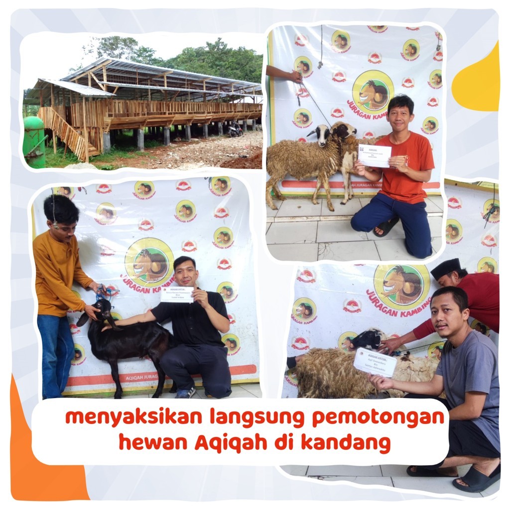 Harga-Aqiqah-2