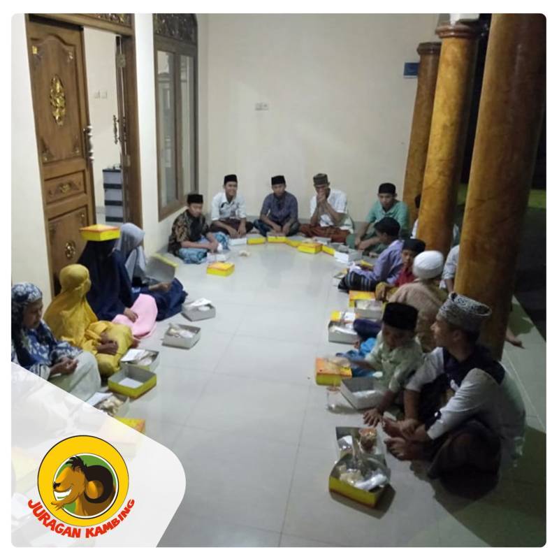Juragan-Kambing-Aqiqah-28